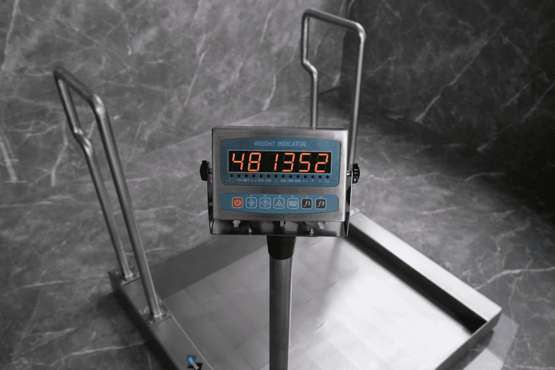HW-SS Wheelchair Scale
