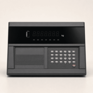 DS10/DS10P IoT Digital Weighbridge Indicator
