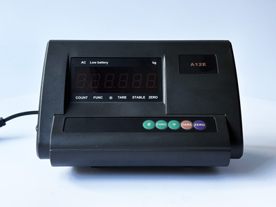 A12E Economical Weight Indicator