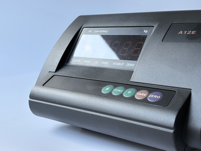 A12E Economical Weight Indicator product view