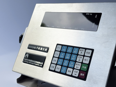 D2008 Digital Weighbridge Indicator product view
