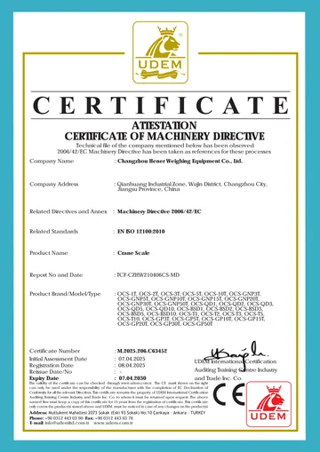 Crane Scale certificate preview